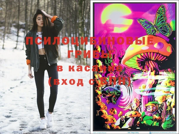 стафф Абаза