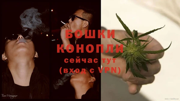 дурь Алзамай
