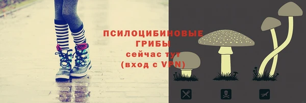 стафф Абаза