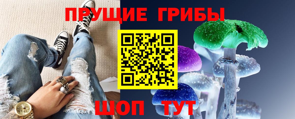 Кизилюрт  Псилоцибиновые грибы мицелий  Вход с VPN 