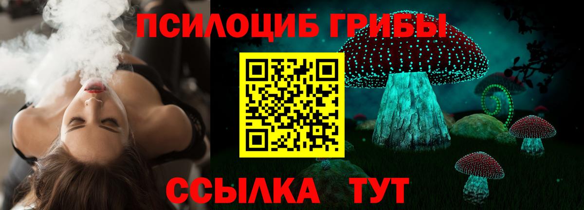 Псилоцибиновые грибы Psilocybe Кизилюрт